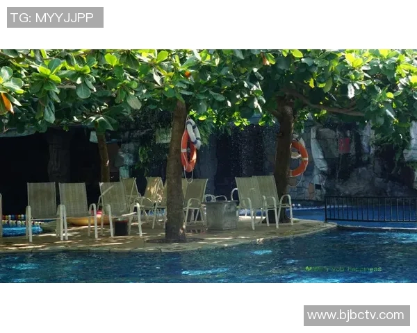 以泳池为核心，打造四季皆宜的度假胜地，体验畅游与悠闲的完美结合