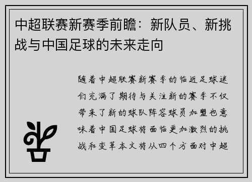 中超联赛新赛季前瞻：新队员、新挑战与中国足球的未来走向